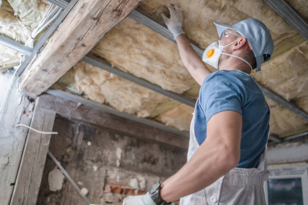 Best Insulation Maintenance and Repair in Wildewood, MD